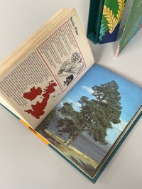 Image 5 of The Guiness Book of Trees, Gardeners booms 