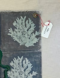 Image 2 of Coral