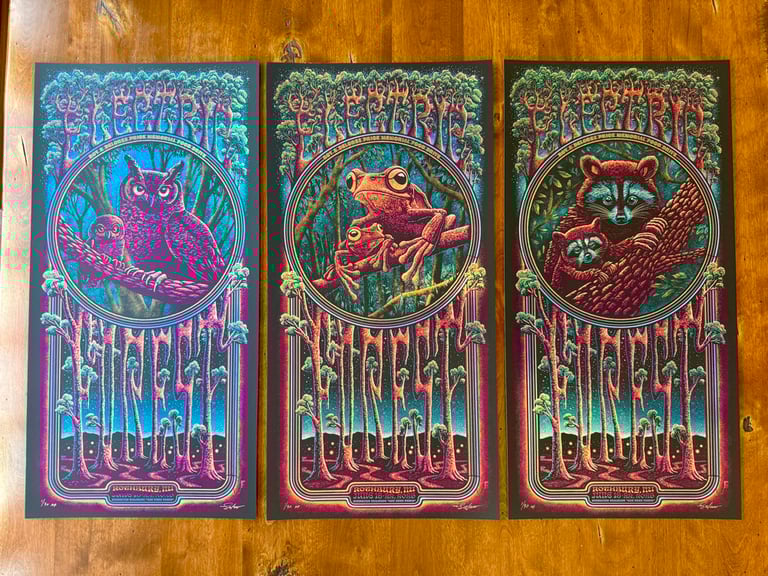 Electric Forest - Set