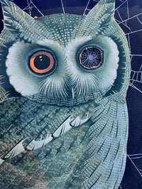 Image 4 of Vintage “Owl with Moth” - with preserved spider web
