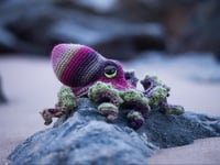 Medium Realistic Octopus - Bobble Bottom 