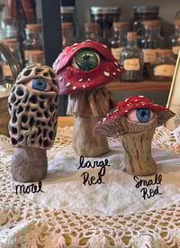 Image 2 of Mysterious Mushrooms