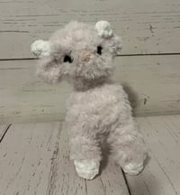 Image 1 of Baby Goat