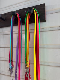 Image 3 of LEADS 