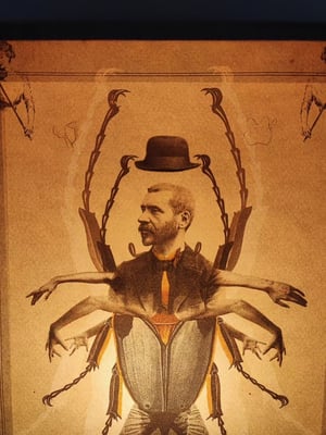 Image of La Metamorfosis, Franz kafka 