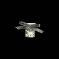 cane toad bones jar small