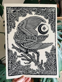 Image 4 of Barn Owl Print