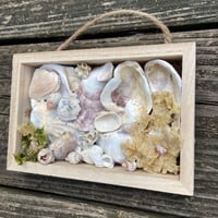 Image 3 of Beach Box #5