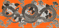 Image 1 of SNAKE ORANGE BACKGROUND 