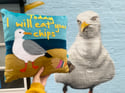 Raggy Roux - ‘today I will eat your chips’ seagull cushion