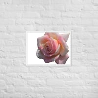 Image 5 of Floral Framed poster 2