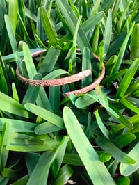 Image 11 of Wild Copper Roots