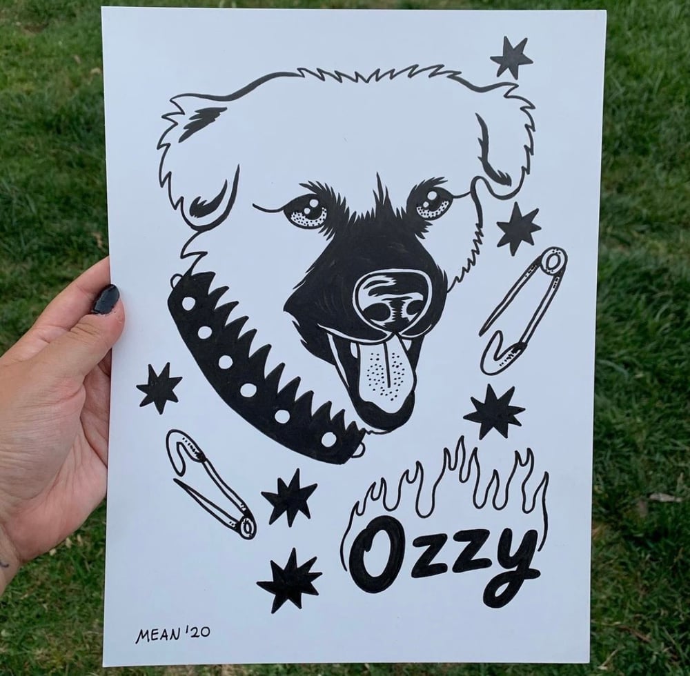 ✨HAND DRAWN CUSTOM PET PORTRAIT✨