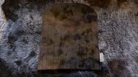 Image 3 of Botanical Printed Felt Tool Wrap #2