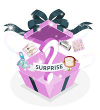 Suprise Mystery Blind Box- Teen
