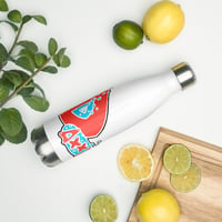 DaxxyCo Stainless Steel Water Bottle
