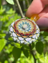 Image 7 of Sunburst Dahlia