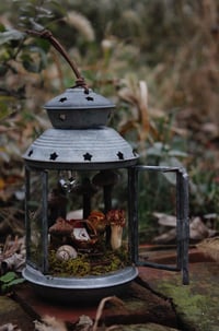 Image 1 of Love Letter Lantern Curio