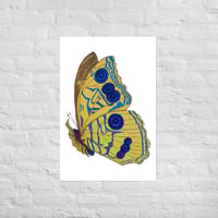 Image 3 of Butterfly Print