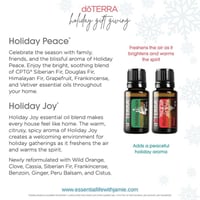 Image 3 of Holiday Showermelts 