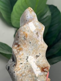 Image 2 of ORBICULAR SEA JASPER FLAME -MADAGASCAR-