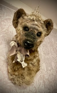 Image 1 of Holly the Hyena