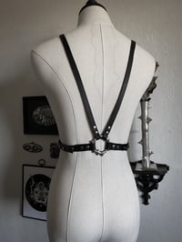 Image 3 of Thorns harness