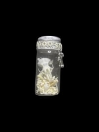 Image 1 of baby rat skull & bones jar