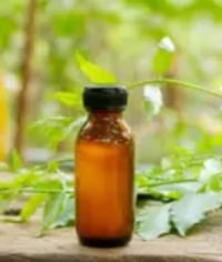 Neem Oil