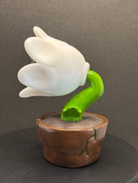 Image 2 of Moon flower (white)