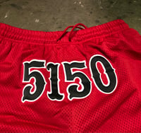 Image 3 of 5150 Dynasty Shorts