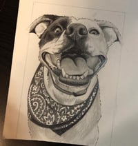 Image 3 of Custom Pet Portraits