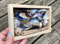 Image 3 of Beach Box #1