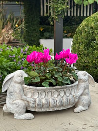 Image 2 of Twin Bunny Garden Planter