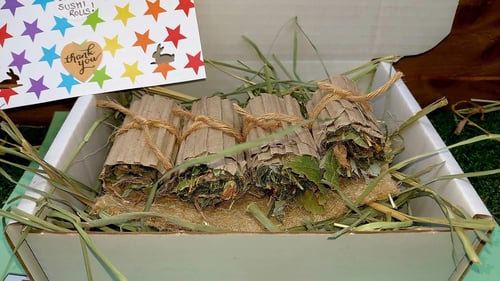 Image of Sushi forage roll box (‘FAKEAWAY’ RANGE)