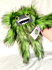 Image 4 of Green & Black Furball 