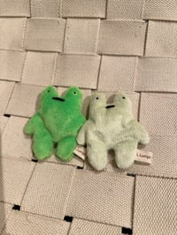 Mini Frogs (sold separately)