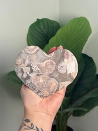 Image 2 of XL HQ FLOWER AGATE HEART -MADAGASCAR-