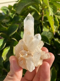 Image 2 of Himalayan Quartz Cluster 