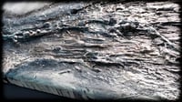 Image 5 of The ShoRE 10x20