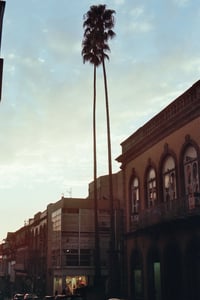 Image 4 of Kodak Vision 3 