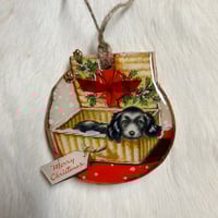 Image 1 of Puppy Love