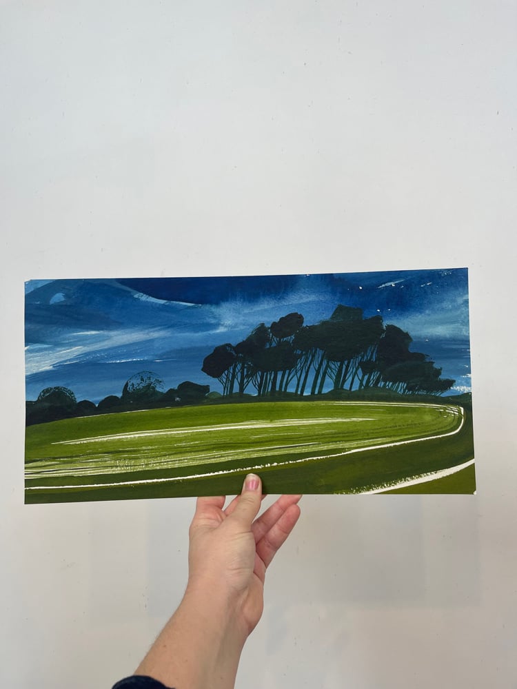 *3 items reserved for Shyra*