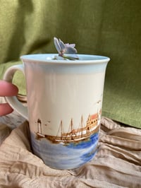 Image 5 of Ghost Echeveria in Sailboat Mug