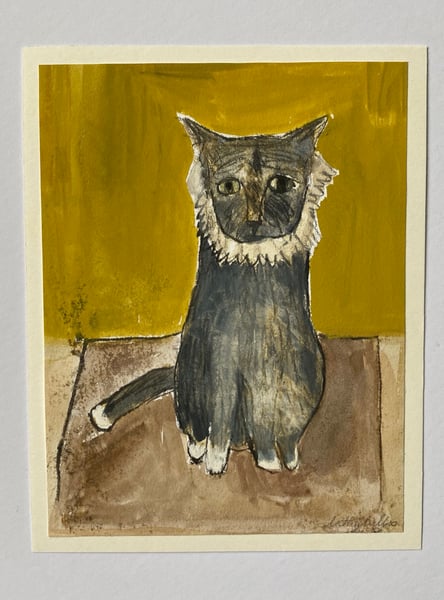 Image of A grey cat with mustard background 
