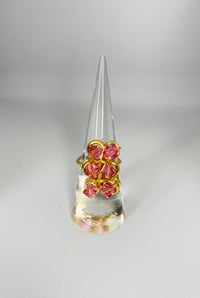 Image 1 of Carthage - Preciosa Rose
