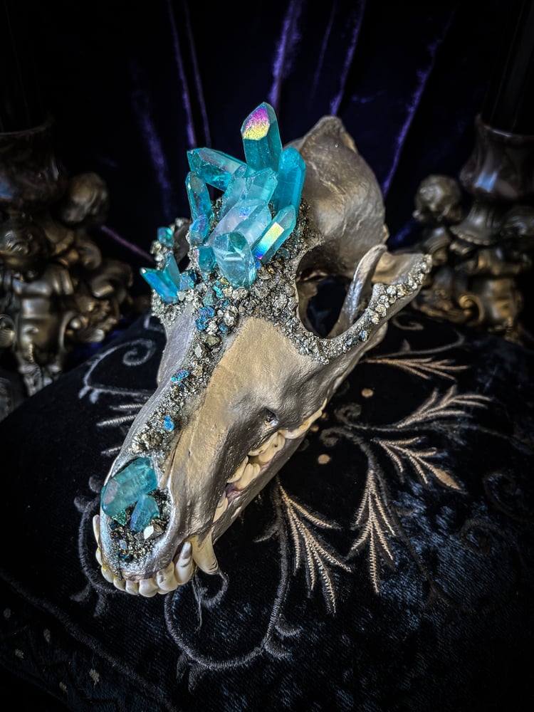 Image of Lt Blue Aura Quartz & Chalcopyrite - Coyote Skull