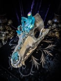 Lt Blue Aura Quartz & Chalcopyrite - Coyote Skull