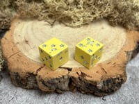 Image 2 of D6 Dice Pair Yellow and Silver Stars