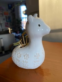 Image 1 of Rippled Pepper Peperomia in White Llama